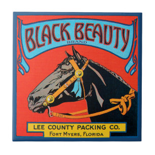 Zwarte Beauty Horse op rode achtergrond Tegeltje