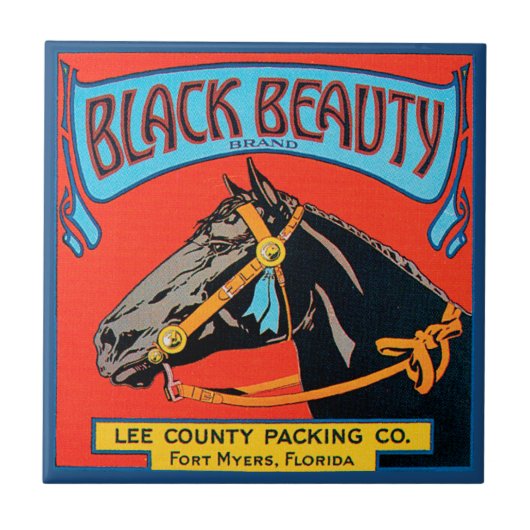 Zwarte Beauty Horse op rode achtergrond Tegeltje (Voorkant)