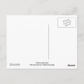 Zwarte Beer Ansichtkaarten Briefkaart (Achterkant)