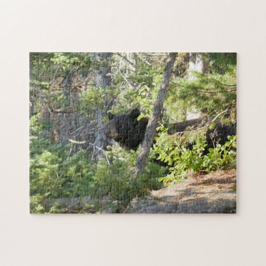 Zwarte beer bij Grand Teton Legpuzzel (Horizontaal)
