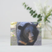 Zwarte Beer Briefkaart (Staand voorkant)