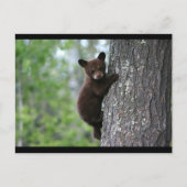 ZWARTE BEER BRIEFKAART (Voorkant)