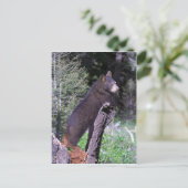 Zwarte Beer Cub Briefkaart (Staand voorkant)