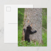 Zwarte Beer Cub | Grote rokerberg Briefkaart (Voorkant / Achterkant)