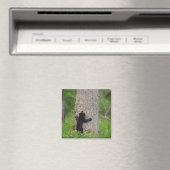 Zwarte Beer Cub | Grote rokerberg Magneet (Insitu (Vaatwasser))