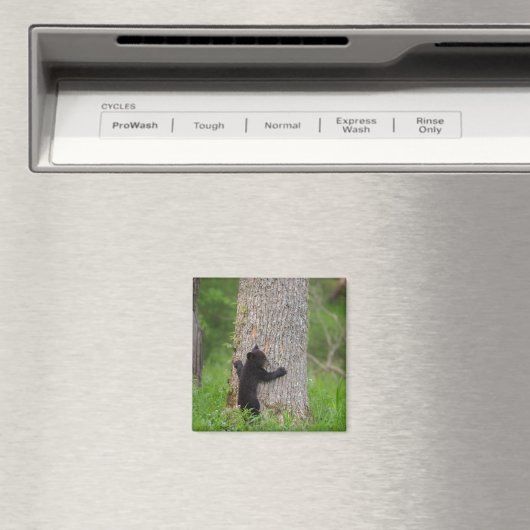 Zwarte Beer Cub | Grote rokerberg Magneet (Insitu (Vaatwasser))