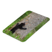 Zwarte Beer Cub | Grote rokerberg Magneet (Linkerzijde)