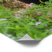 Zwarte Beer Cub | Grote rokerberg Poster (Hoek)