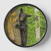 Zwarte Beer Cub | Minnesota (Voorkant)