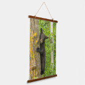 Zwarte Beer Cub | Minnesota Hangend Wandkleed (Gebogen)