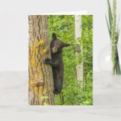 Zwarte Beer Cub | Minnesota Kaart (Voorkant)