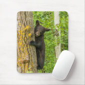 Zwarte Beer Cub | Minnesota Muismat (Met muis)