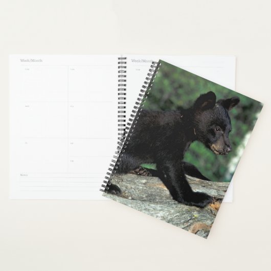 Zwarte Beer Cub Planner (Display)