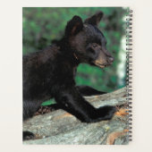 Zwarte Beer Cub Planner (Achterkant)