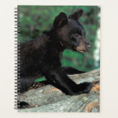 Zwarte Beer Cub Planner (Voorkant)