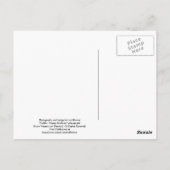 Zwarte Beer - "Cubby - Gefeliciteerd verjaardag!" Briefkaart (Achterkant)