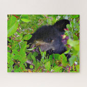 Zwarte Beer Cubs. Legpuzzel (Horizontaal)