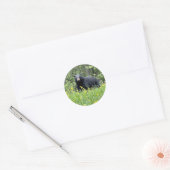 Zwarte Beer en Dandelions Ronde Sticker (Envelop)