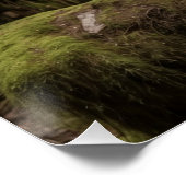 Zwarte Beer en Totem Pole Wildlife Art Perfect Poster (Hoek)