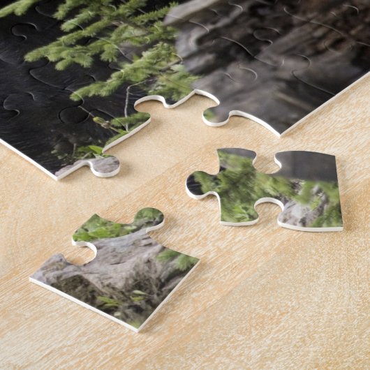 Zwarte beer in het bos legpuzzel (Zijkant)