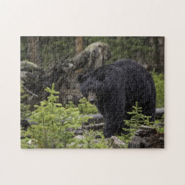 Zwarte beer in het bos legpuzzel