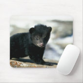 Zwarte Beer-kleine cub Muismat (Met muis)