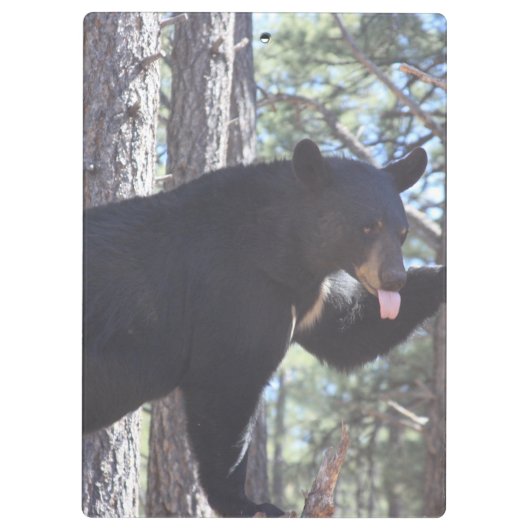 Zwarte Beer Klembord (Achterkant)