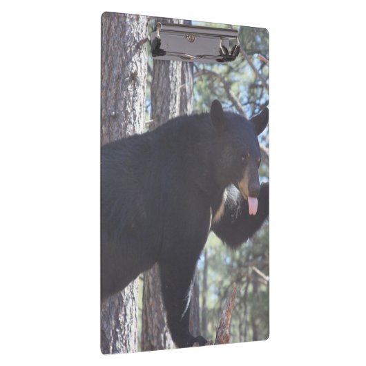 Zwarte Beer Klembord (Rechts)