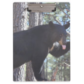 Zwarte Beer Klembord (Voorkant)