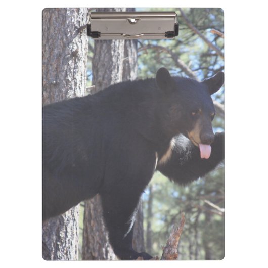Zwarte Beer Klembord (Voorkant)