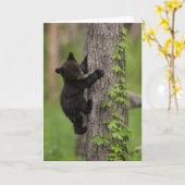 Zwarte Beer klimboom Kaart (Gele Bloem)