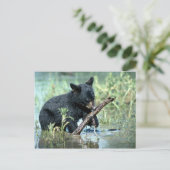 Zwarte Beer-kub in zomermoeras Briefkaart (Staand voorkant)