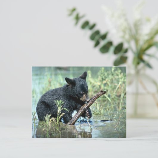 Zwarte Beer-kub in zomermoeras Briefkaart (Staand voorkant)
