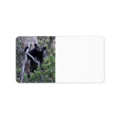 zwarte beer kubus etiket (Voorkant)