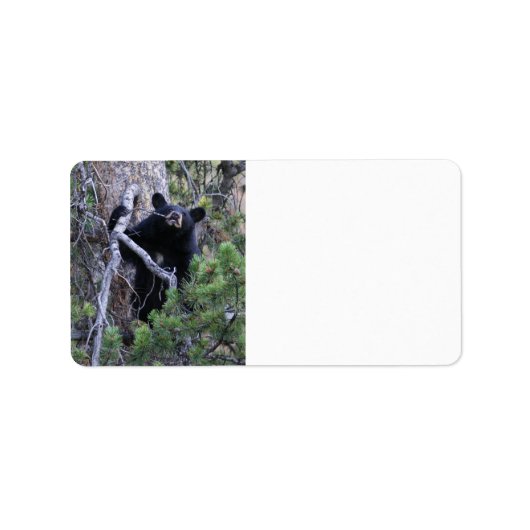 zwarte beer kubus etiket (Voorkant)