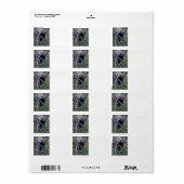 zwarte beer kubus etiket (Full Sheet)