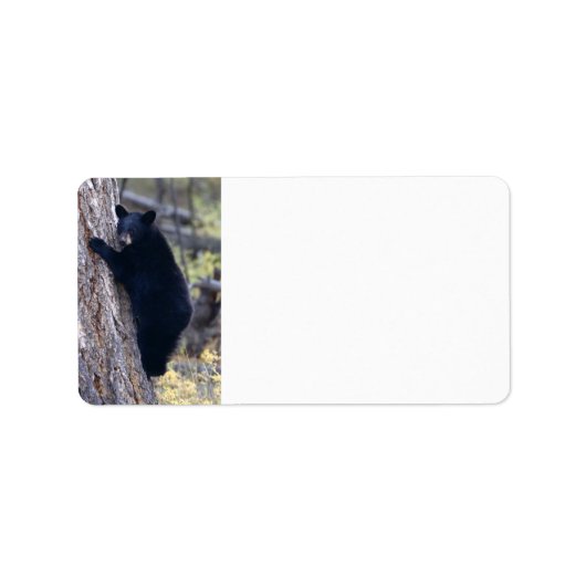 zwarte beer kubus etiket (Voorkant)