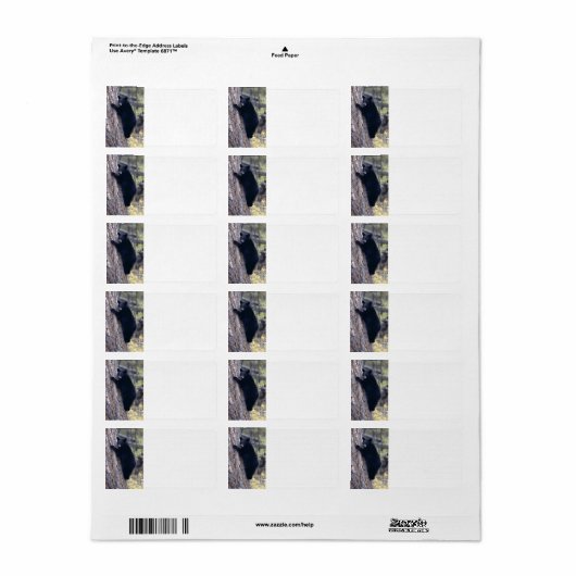 zwarte beer kubus etiket (Full Sheet)