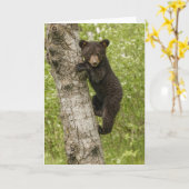 Zwarte Beer kubus in boom Kaart (Gele Bloem)