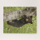 Zwarte Beer kubus in boom Legpuzzel (Horizontaal)