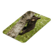 Zwarte Beer kubus in boom Magneet (Linkerzijde)