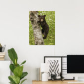 Zwarte Beer kubus in boom Poster (Thuiskantoor)