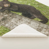 Zwarte Beer kubus in boom Sherpa Deken (3/4)