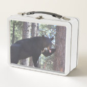 Zwarte Beer Lunch Box (Voorkant)