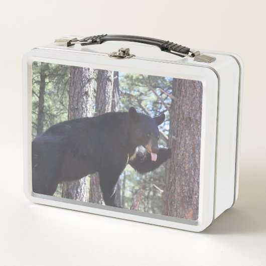 Zwarte Beer Lunch Box (Voorkant)