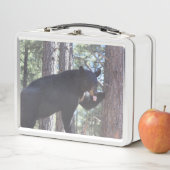 Zwarte Beer Lunchbox (In situ)