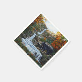 Zwarte Beer moeder en waterval Servet (Hoek)