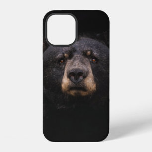 ZWARTE BEER OP BRUINE HOUTEN BOOMTAK iPhone 12 HOESJE