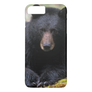 Zwarte beer op een oude boomstam in de 	iPhone 8/7 plus hoesje