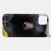 Zwarte beer op een oude boomstam in de Case-Mate iPhone case (Achterkant (horizontaal))